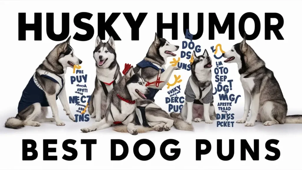 Husky Humor: Best Dog Puns