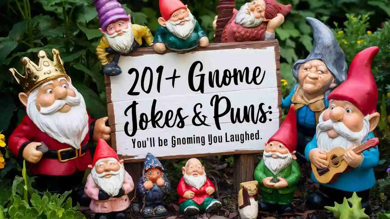 Gnome Jokes & Puns: You’ll Be Gnoming You Laughed